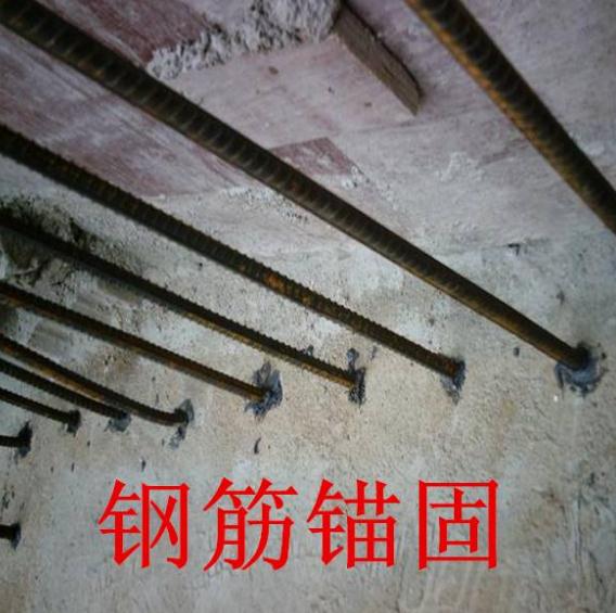 錨固劑