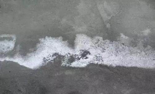 泛堿