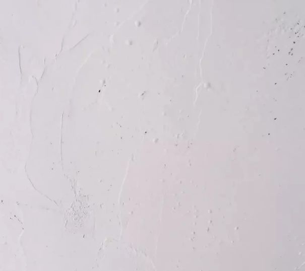 膩子小泡